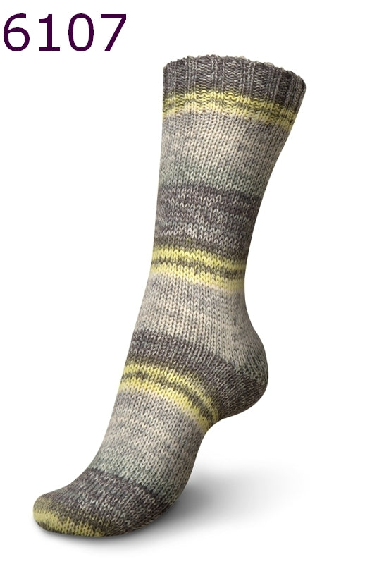 REGIA 6-fädig Nordic Nature Color 150g